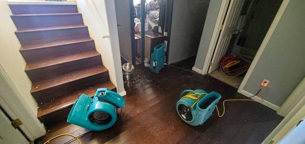Newport, SC Water damage restoration Company