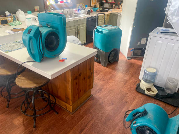 Best Water damage cleanup near me  in Newport, SC