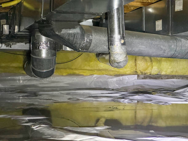 Best Water damage restoration specialists  in Newport, SC