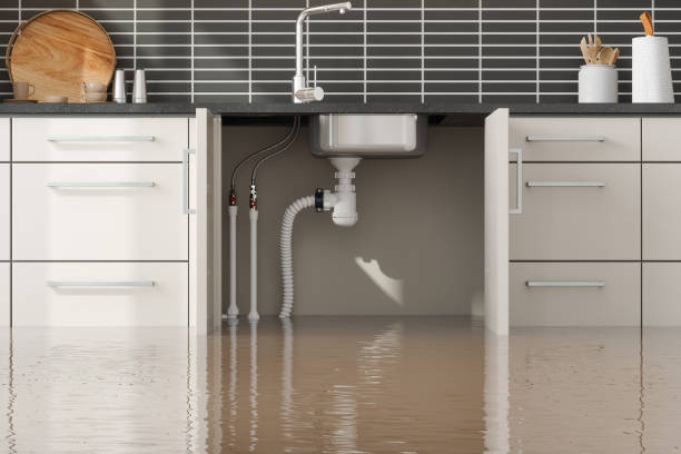 Best Mold removal after water damage  in Newport, SC