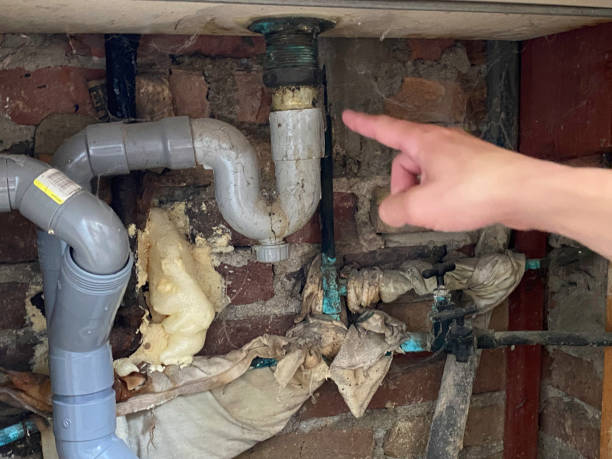 Best Water damage contractors near me  in Newport, SC
