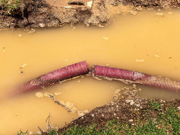 Water damage restoration insurance claims in Newport, SC